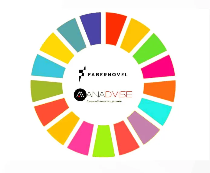 The Value Wheel: a strategic tool to measure value creation beyond financial metrics